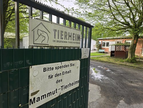 Spendenaufruf Tierheim